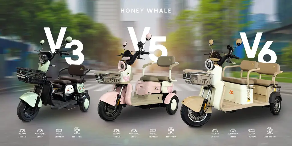 MotoBici Electrica Honeywhale V6