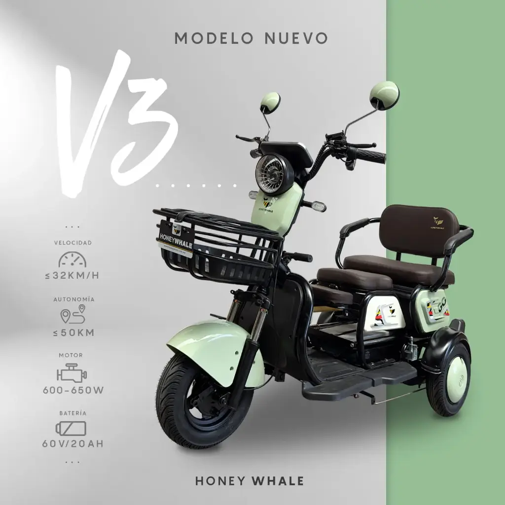 MotoBici Electrica Honeywhale V3 3 Ruedas