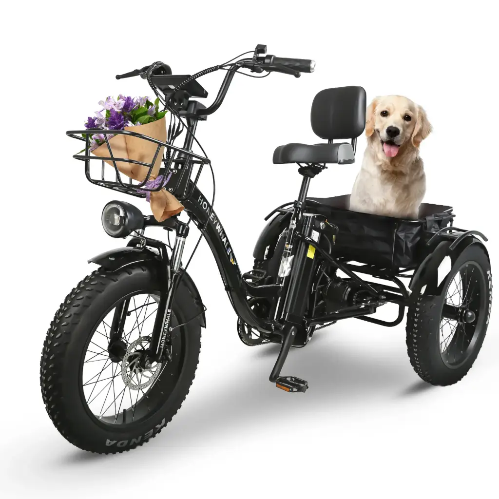 Tricicleta Electrica Plegable HoneyWhale S13