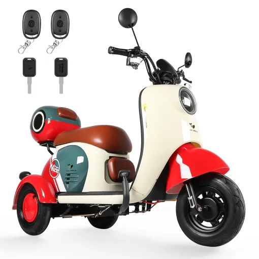 MotoBici Electrica Honeywhale V1 3 Ruedas 